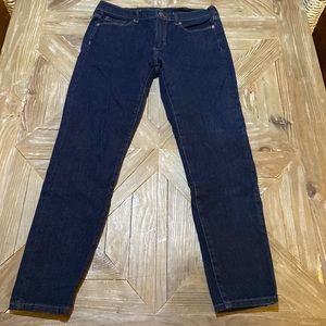 Banana Republic Premium Denim Jeans Skinny Stretch 27 Dark Wash